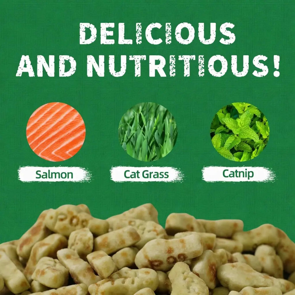 LVGCFT Natural Salmon Cat Grass Treats – Healthy Catnip Training Biscuits for Hairball Control, Dental Care & Digestive Health