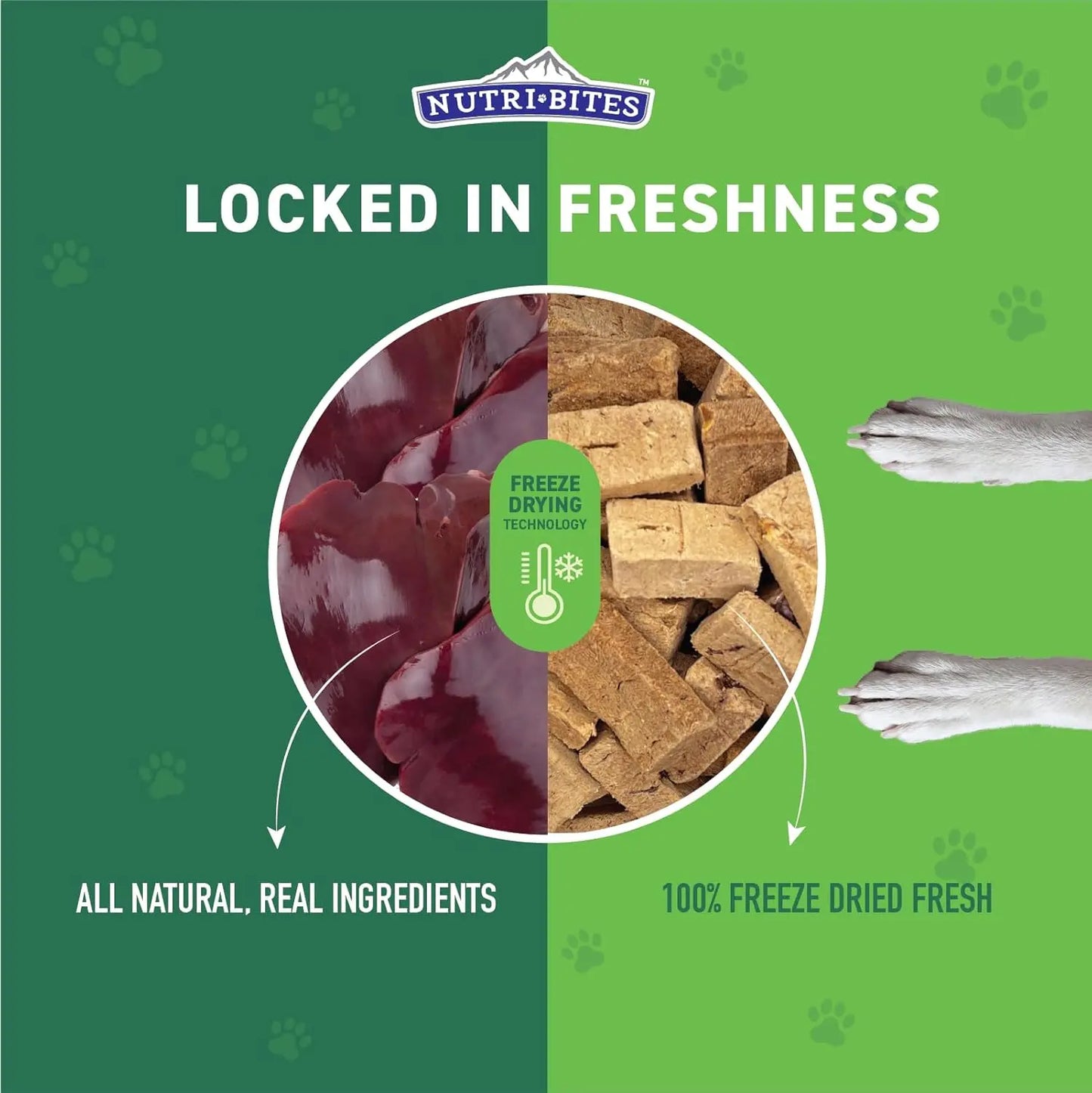 Nutri Bites Freeze Dried Beef Liver Dog & Cat Treats | Healthy Pet Training Treats or Food Topper | All Natural, Single Ingredient, High Protein | 