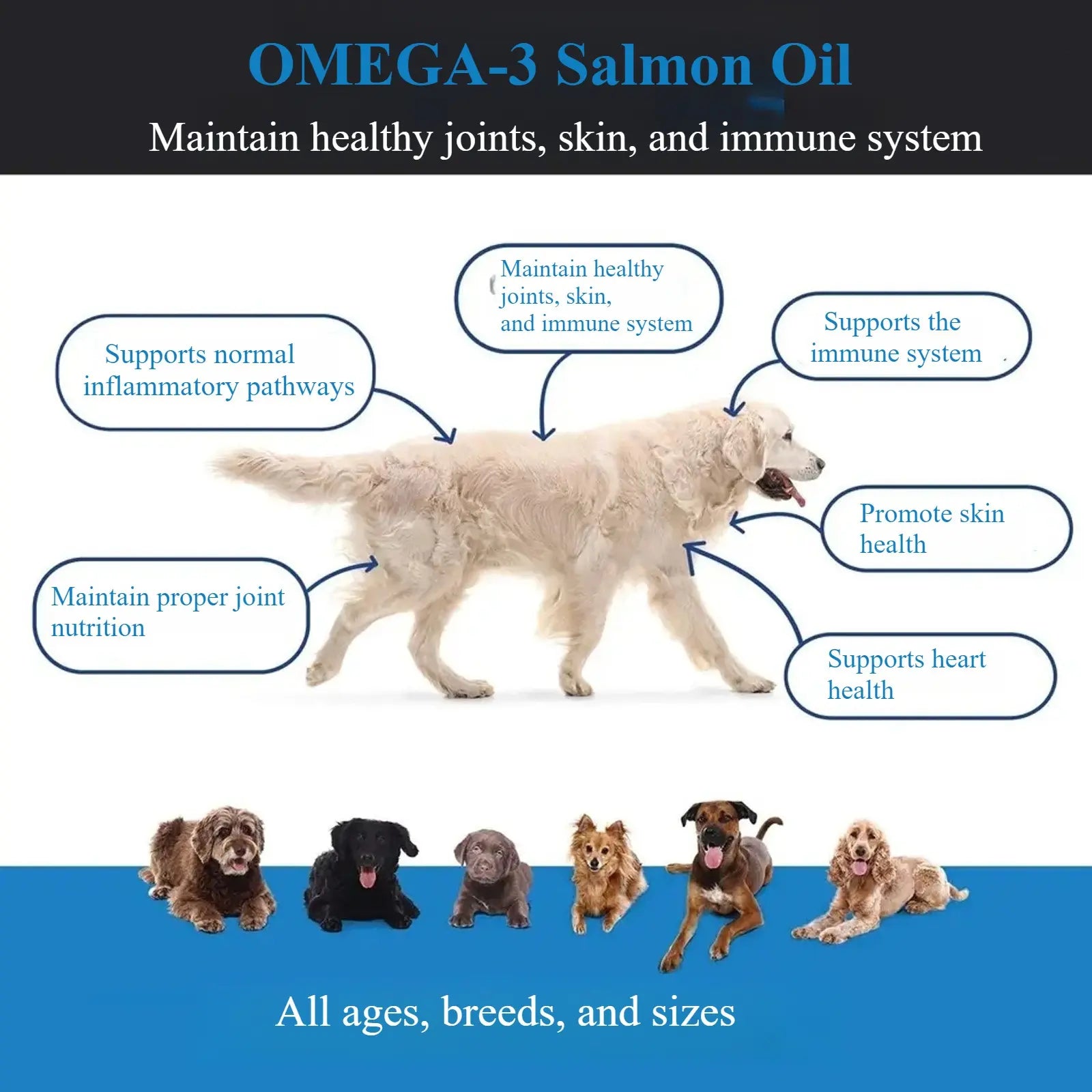 Aylinpaw Wild Alaskan Salmon Oil for Dogs & Cats – Natural Omega-3 (EPA & DHA) Supplement for Healthy Skin, Shiny Coat, Itch Relief & Joint Support