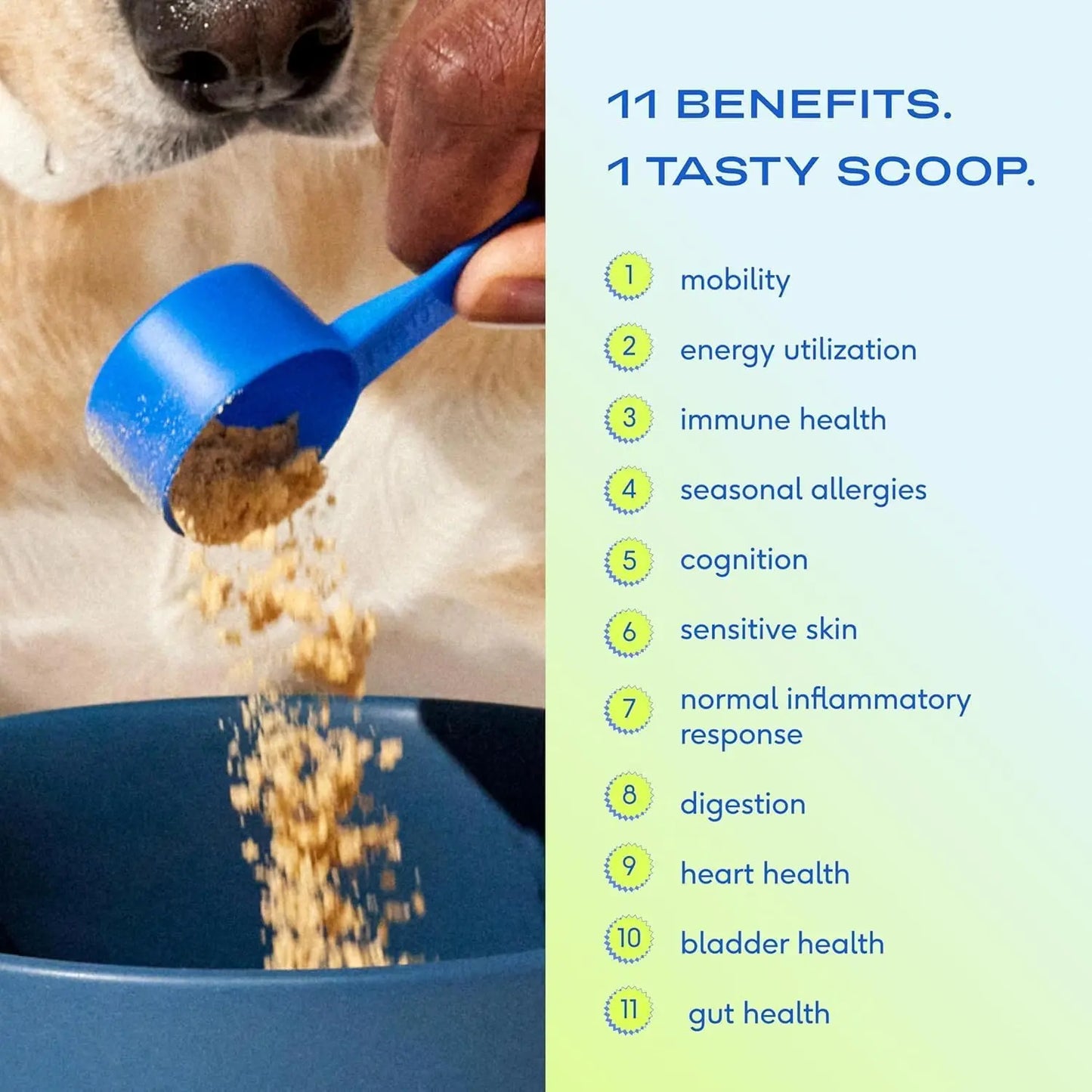 Native Pet Dog Vitamins & Supplements - 11-In-1 Multivitamin Powder for Dogs Food Topper -30 Scoops