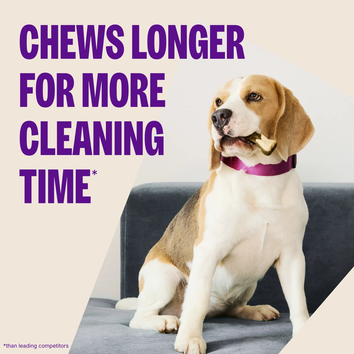 WHIMZEES Wellness Brushzees Medium Dog Dental Treats