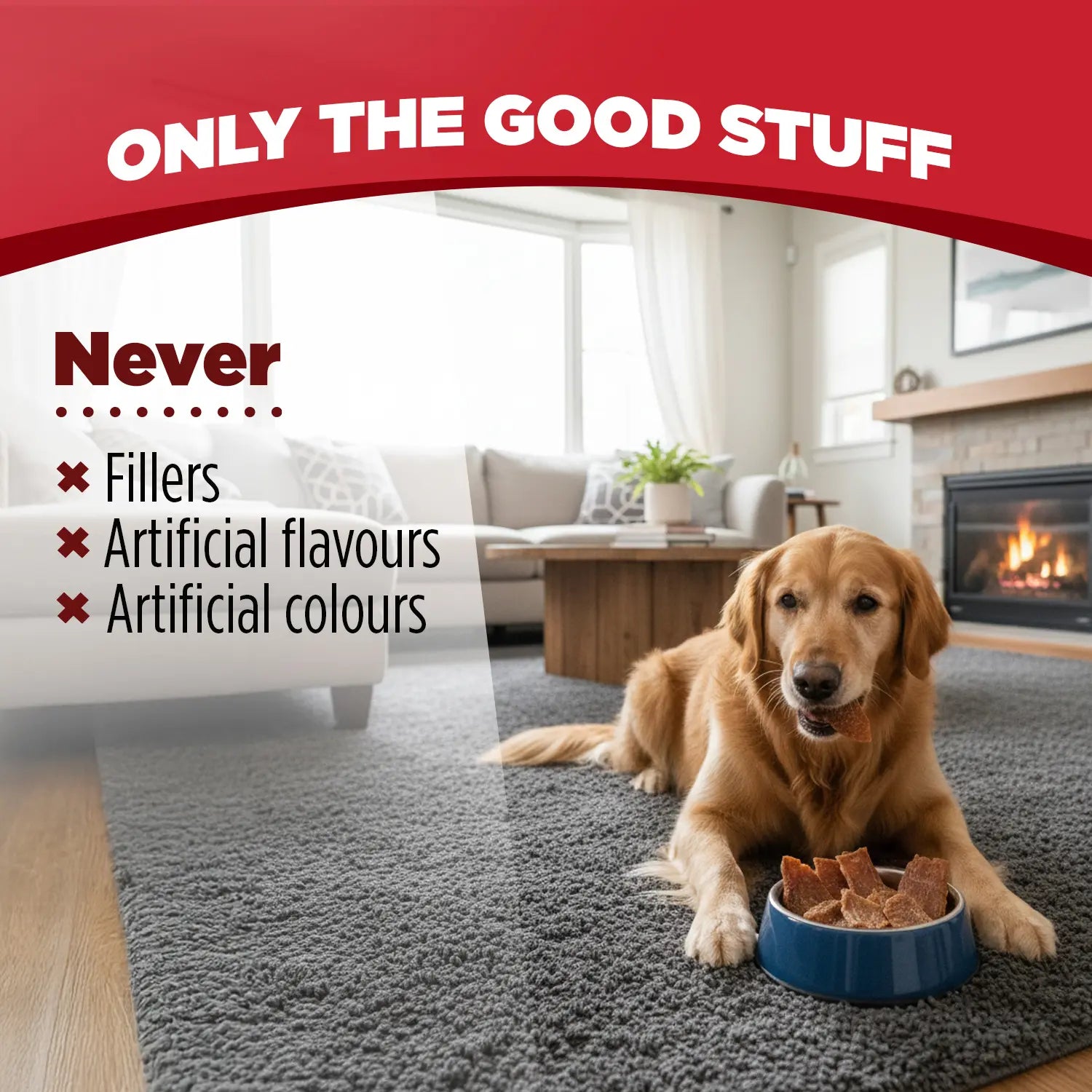 ZEAL Natural Dog Jerky Tenders | Glycerin-Free Real Meat First | Duck Recipe | 