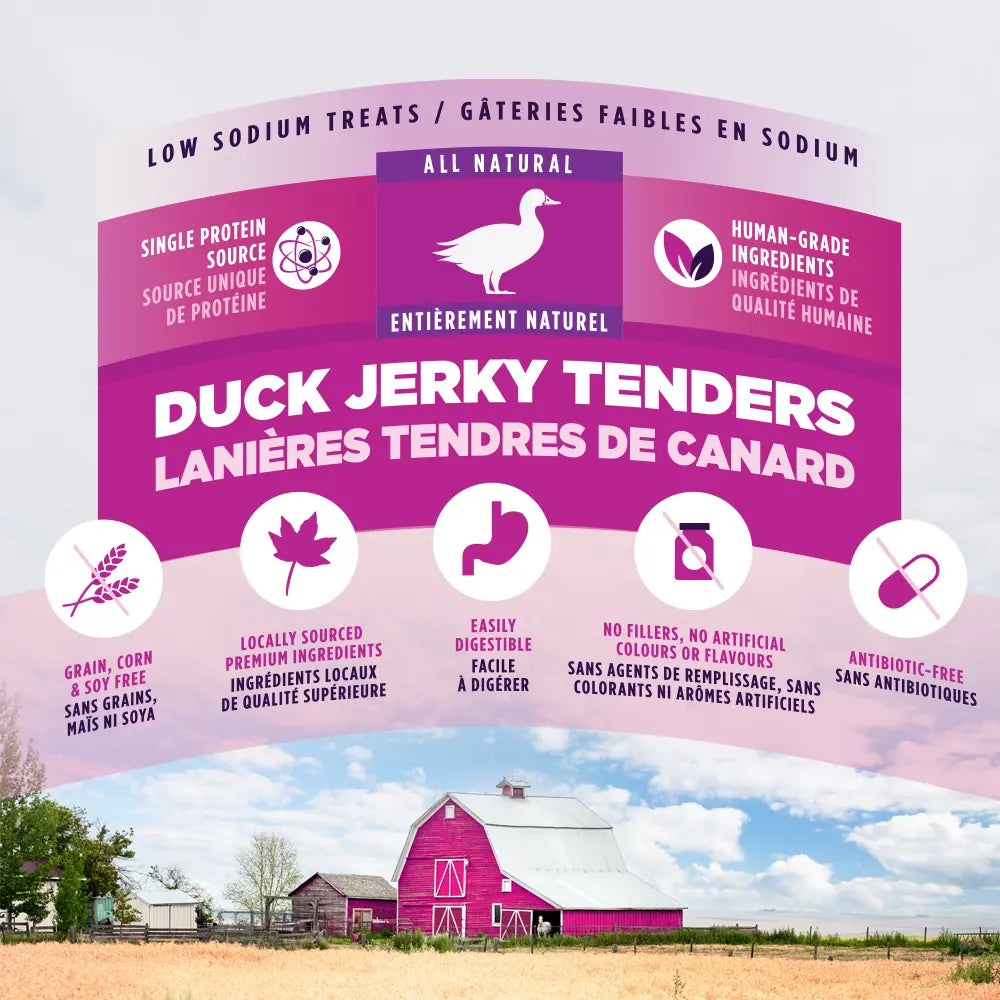 ZEAL Natural Dog Jerky Tenders | Glycerin-Free Real Meat First | Duck Recipe | 