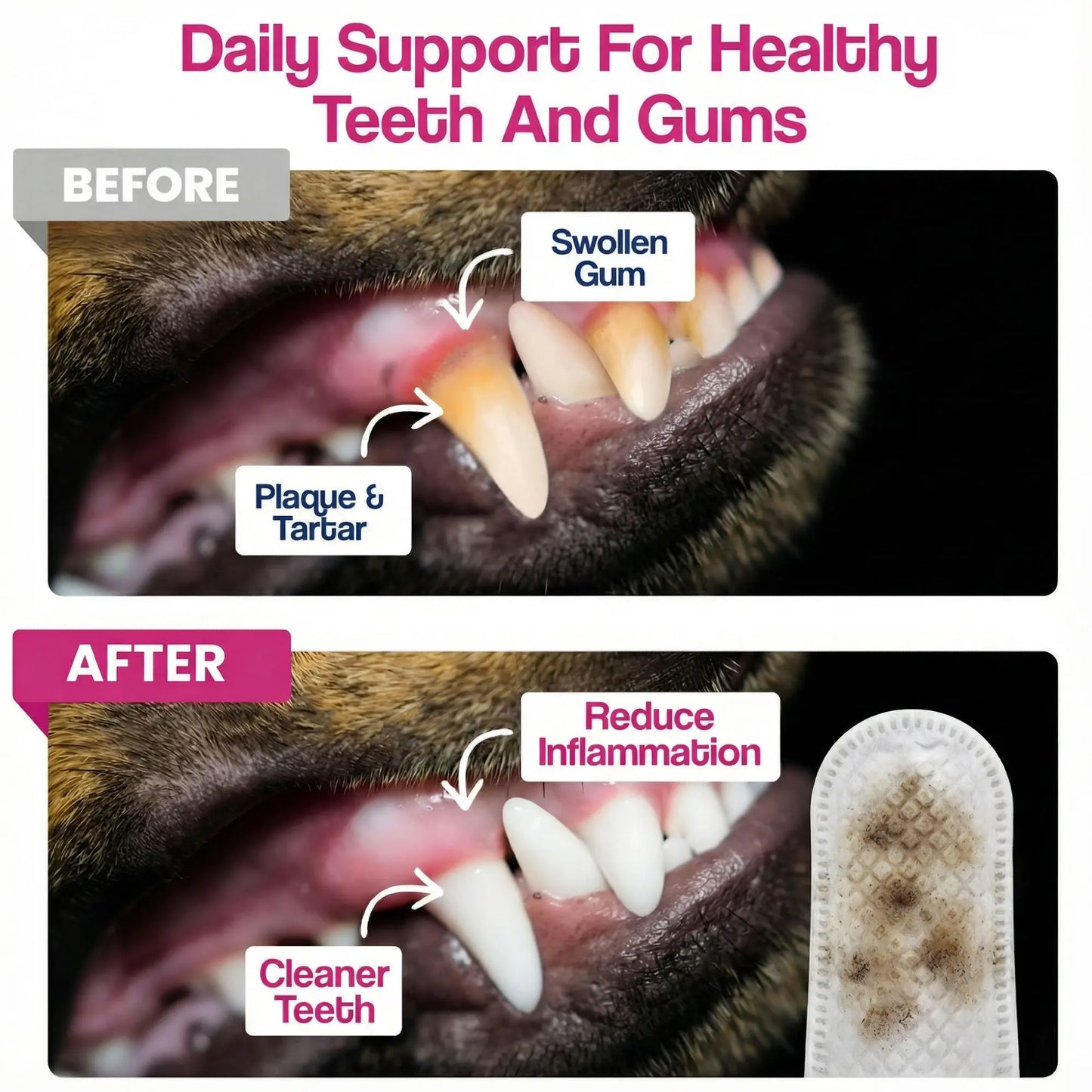 Dr. Paws Pet Care Finger Wipes for Dogs & Cats – No-Rinse Dental, Ear & Eye Cleaning Wipes, Hypoallergenic Grooming Wipes for Plaque, Tear Stains & Ear Wax Removal
