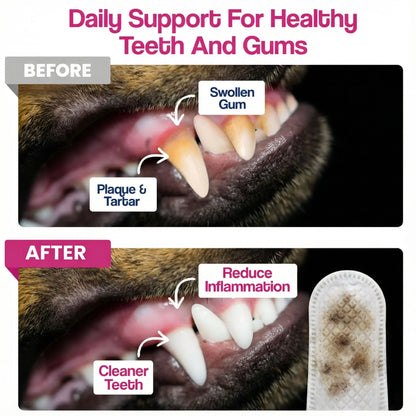 Dr. Paws Pet Care Finger Wipes for Dogs & Cats – No-Rinse Dental, Ear & Eye Cleaning Wipes, Hypoallergenic Grooming Wipes for Plaque, Tear Stains & Ear Wax Removal