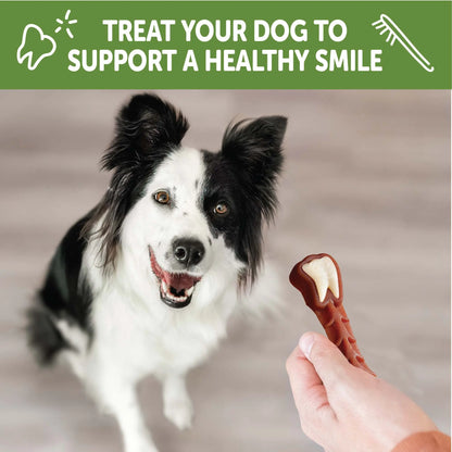 WHIMZEES Wellness Brushzees Medium Dog Dental Treats