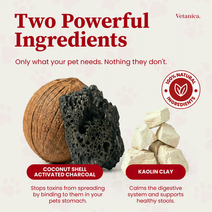 Pawmergency® Pet Poison Emergency Paste – Activated Charcoal & Kaolin Formula for Toxin Absorption, Chocolate Ingestion Support for Dogs & Cats