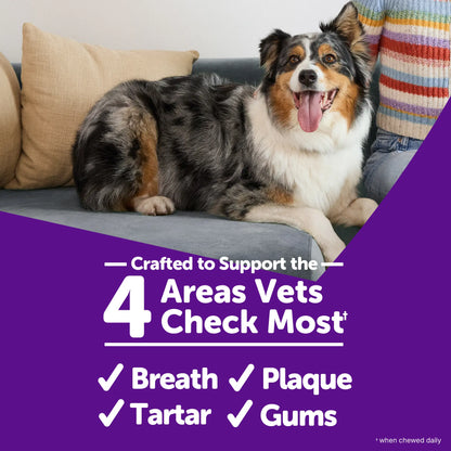 WHIMZEES Wellness Brushzees Medium Dog Dental Treats