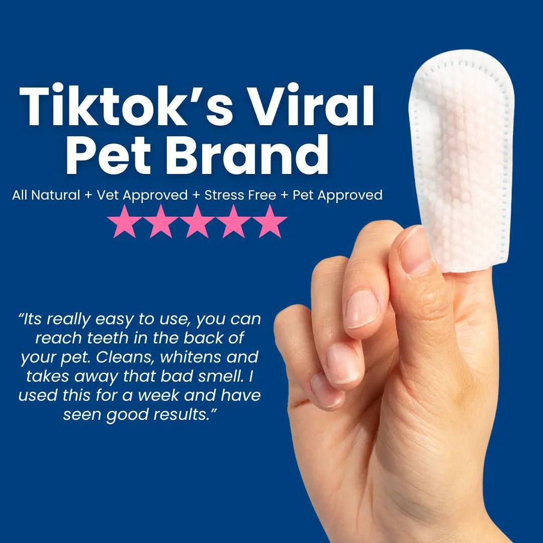 Dr. Paws Pet Care Finger Wipes for Dogs & Cats – No-Rinse Dental, Ear & Eye Cleaning Wipes, Hypoallergenic Grooming Wipes for Plaque, Tear Stains & Ear Wax Removal