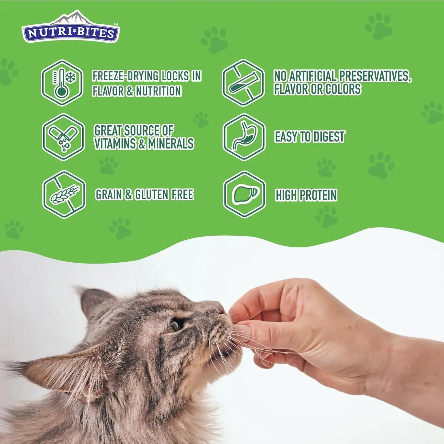Nutri Bites Freeze Dried Beef Liver Dog & Cat Treats | Healthy Pet Training Treats or Food Topper | All Natural, Single Ingredient, High Protein | 