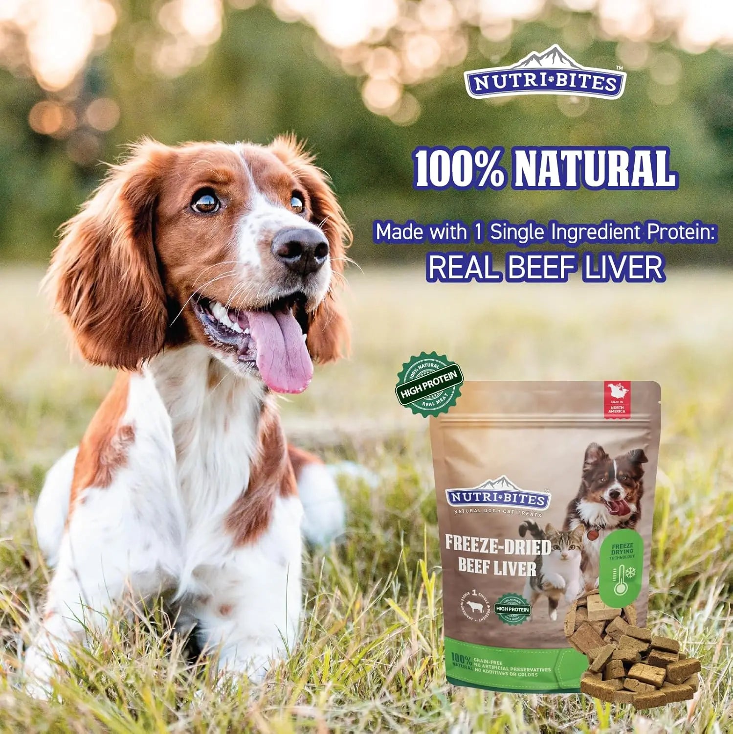 Nutri Bites Freeze Dried Beef Liver Dog & Cat Treats | Healthy Pet Training Treats or Food Topper | All Natural, Single Ingredient, High Protein | 