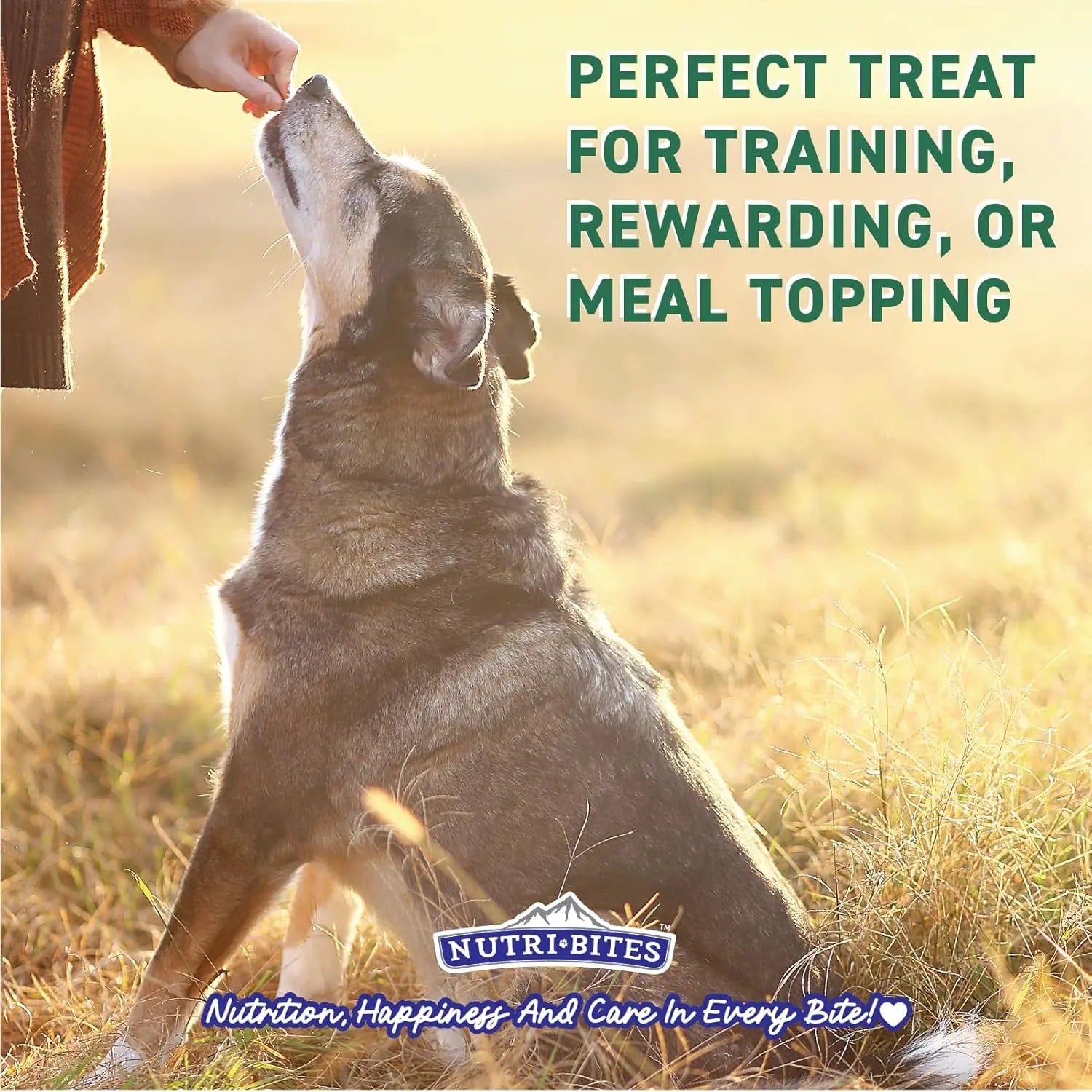 Nutri Bites Freeze Dried Beef Liver Dog & Cat Treats | Healthy Pet Training Treats or Food Topper | All Natural, Single Ingredient, High Protein | 